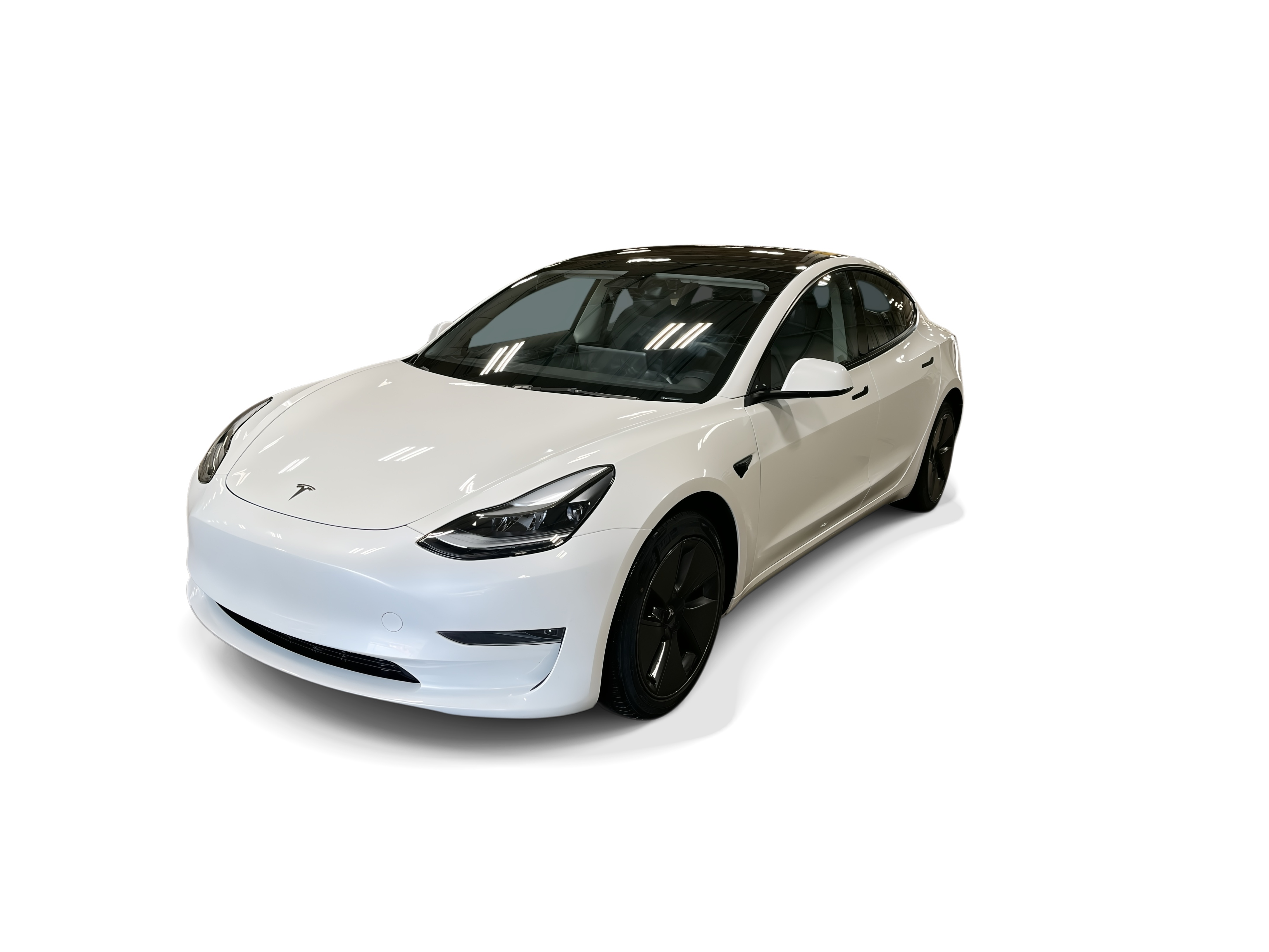 tesla model 3 2023 5YJ3E1EA4PF585098 image tesla model 3 2023 5YJ3E1EA4PF585098 image